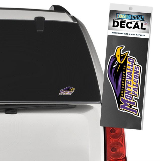 DECAL 1-4C MSCT/CLEAR/    ./.
